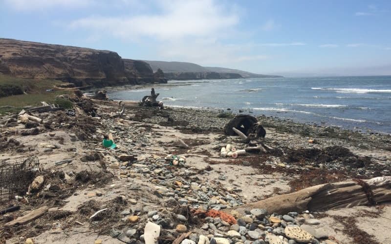 marine debris covering a beach