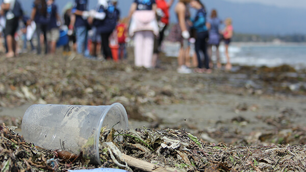 Plastic cup with other marine debris on beach with large group of volunteers behind out of focus.