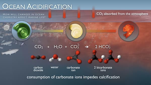Ocean acidification illustration