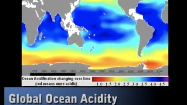 Global ocean acidity