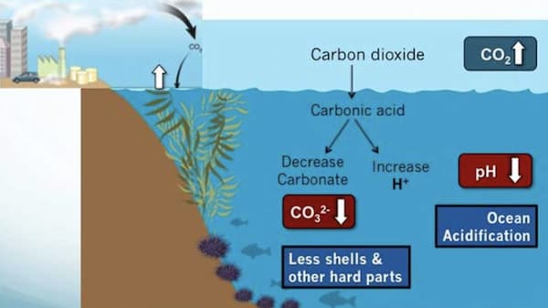 Carbon dioxide illustration