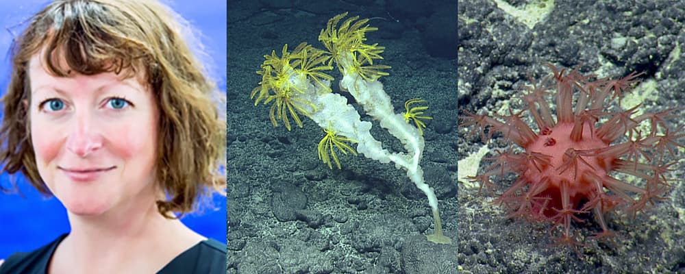 left to right: Dr. Beth N. Orcutt, marine life
