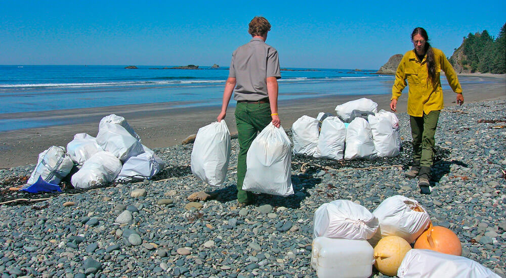 people clean up marine debris on a beach