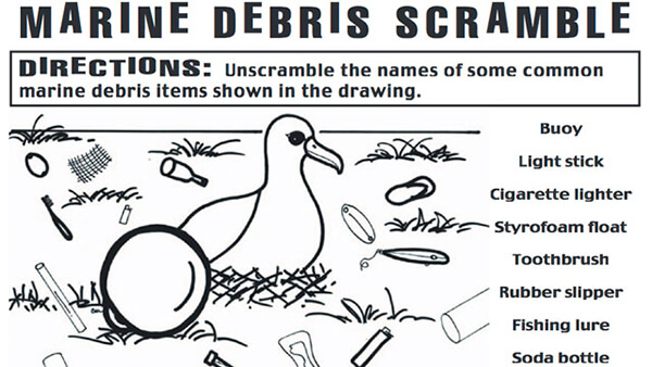 illustration of a seabird