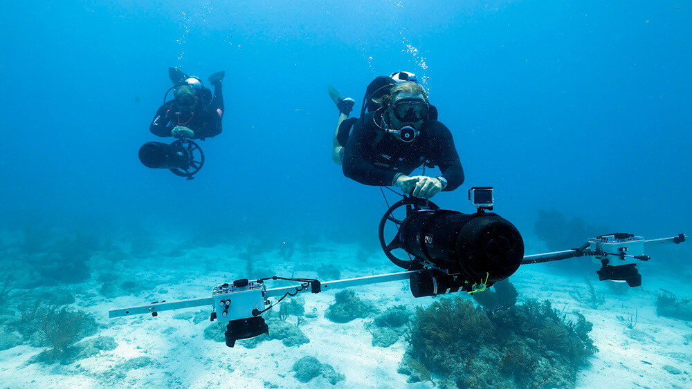 scuba divers with large cameras