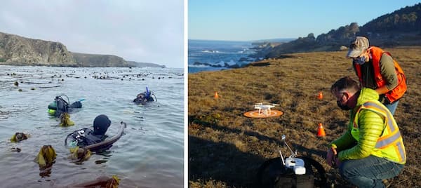 left: diver swim among kelp, right: two people prepare a drone for flight