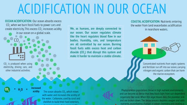 Acidification in our ocean cover poster