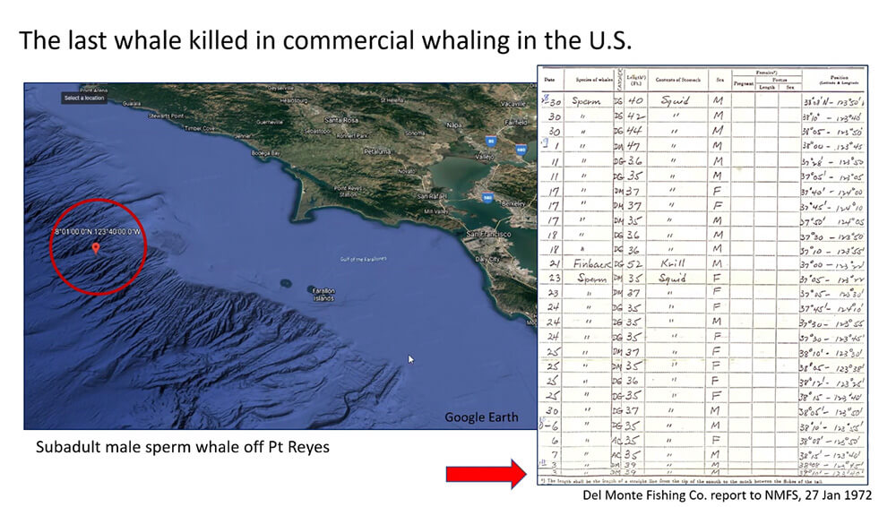a map with a red circle showing the location of where the last commercially harvested whale was taken in US waters