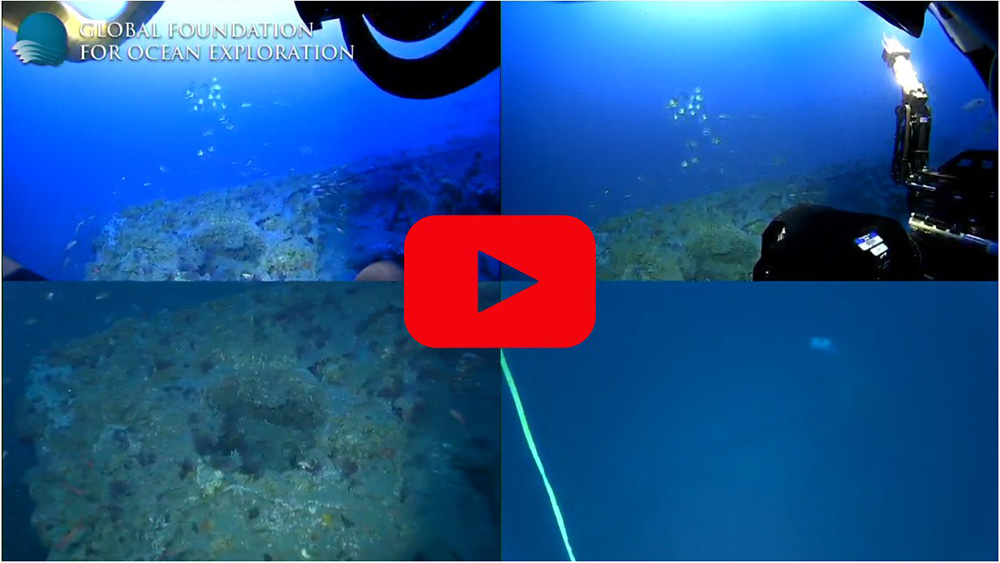 an image showing four different views of a shipwreck with the text global foundation for ocean exploration, and a video play button