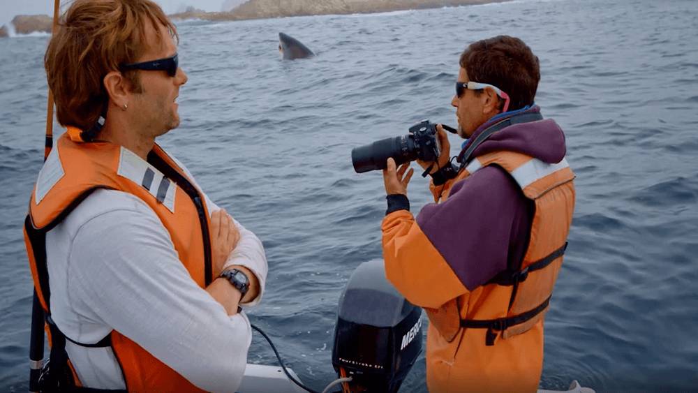 From left to right: Male researcher with light gray long sleeve, black watch on left wrist, black sunglasses, light hair, and an orange life jacket standing facing the right with his arms crossed. Blue water with a large shark’s head emerging from the surface and brown rocks in the distance. Second male researcher with black sunglasses, orange and purple jacket, orange life jacket holding a large black camera.