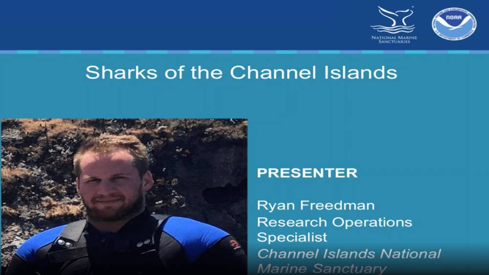 Slideshow with photo of presenter and title: Sharks of the Channel Islands and Presenter Ryan Freedman: Research Operations Specialist for the Channel Islands National Marine Sanctuary.