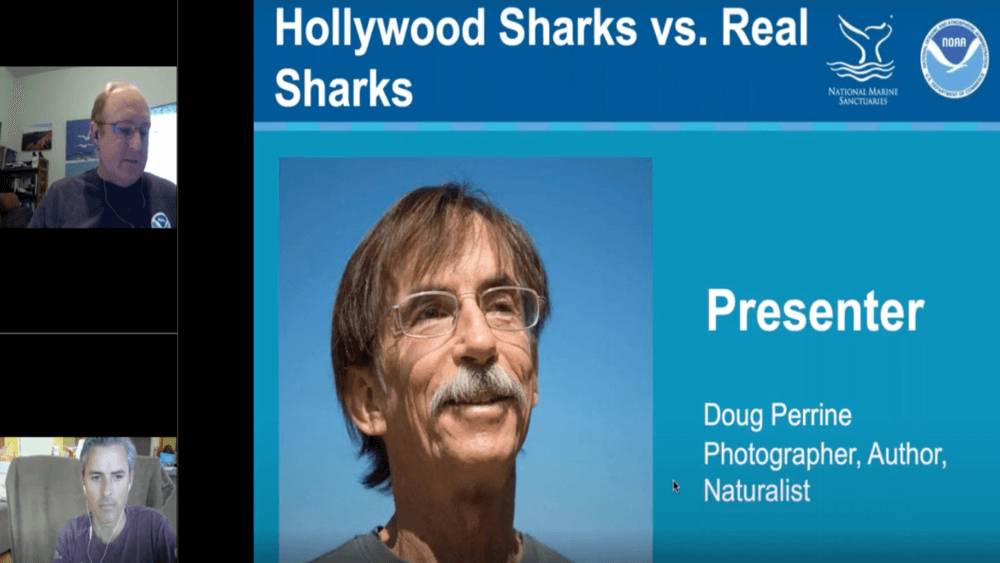 Two male zoom presenters with slide show of the male presenter with text Hollywood Sharks vs. Real Sharks and Presenter, Doug Perrine: Photographer, Author, Naturalist