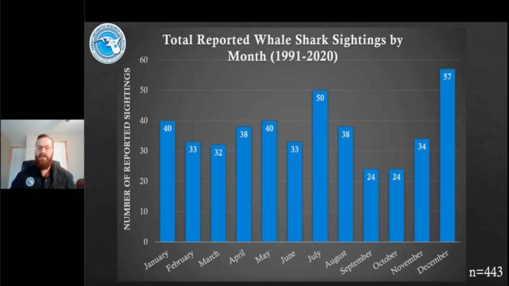Graph of Total Reported Whale Shark Sightings by Month from 1991-2020 with male zoom presenter on the left side.