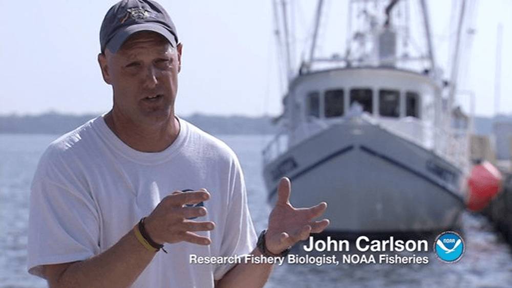 From left to right: Middle aged white man speaking wearing a white t-shirt and gray hat. White boat in the background out of focus. Text reading John Carlson: Research Fishery Biologist, NOAA Fisheries.
