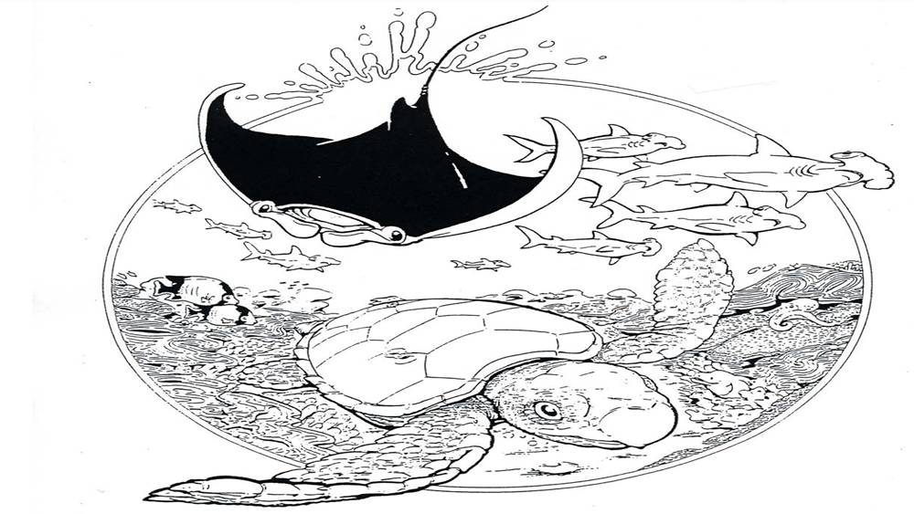 Hand drawing of a reef scene with a manta ray, hammerhead sharks, fish, and a sea turtle.
