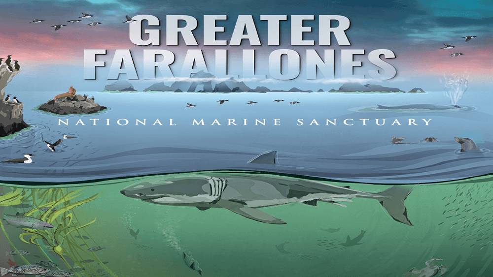 Greater Farallones National Marine Sanctuary 50th anniversary poster.