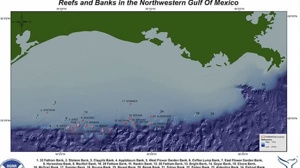 Map of reefs and banks in gulf of mexico