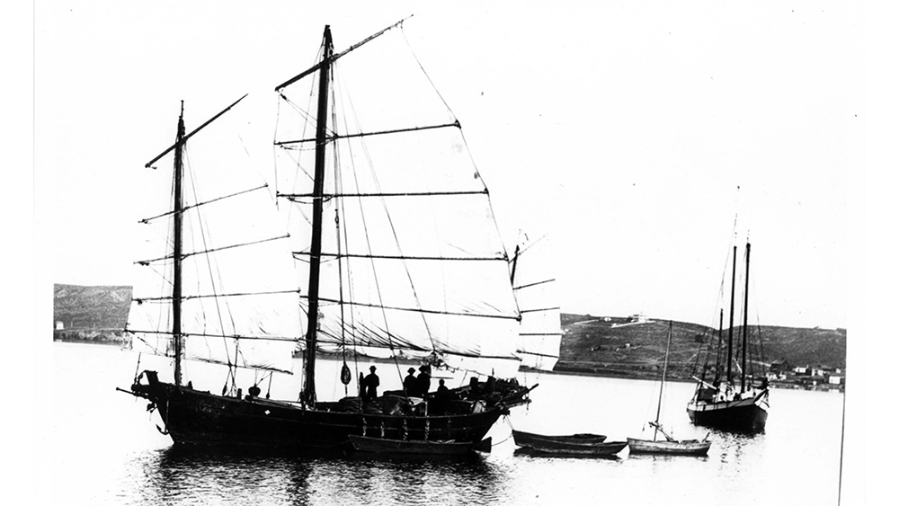 black and white photo of a wooden sailing vessel with three masts