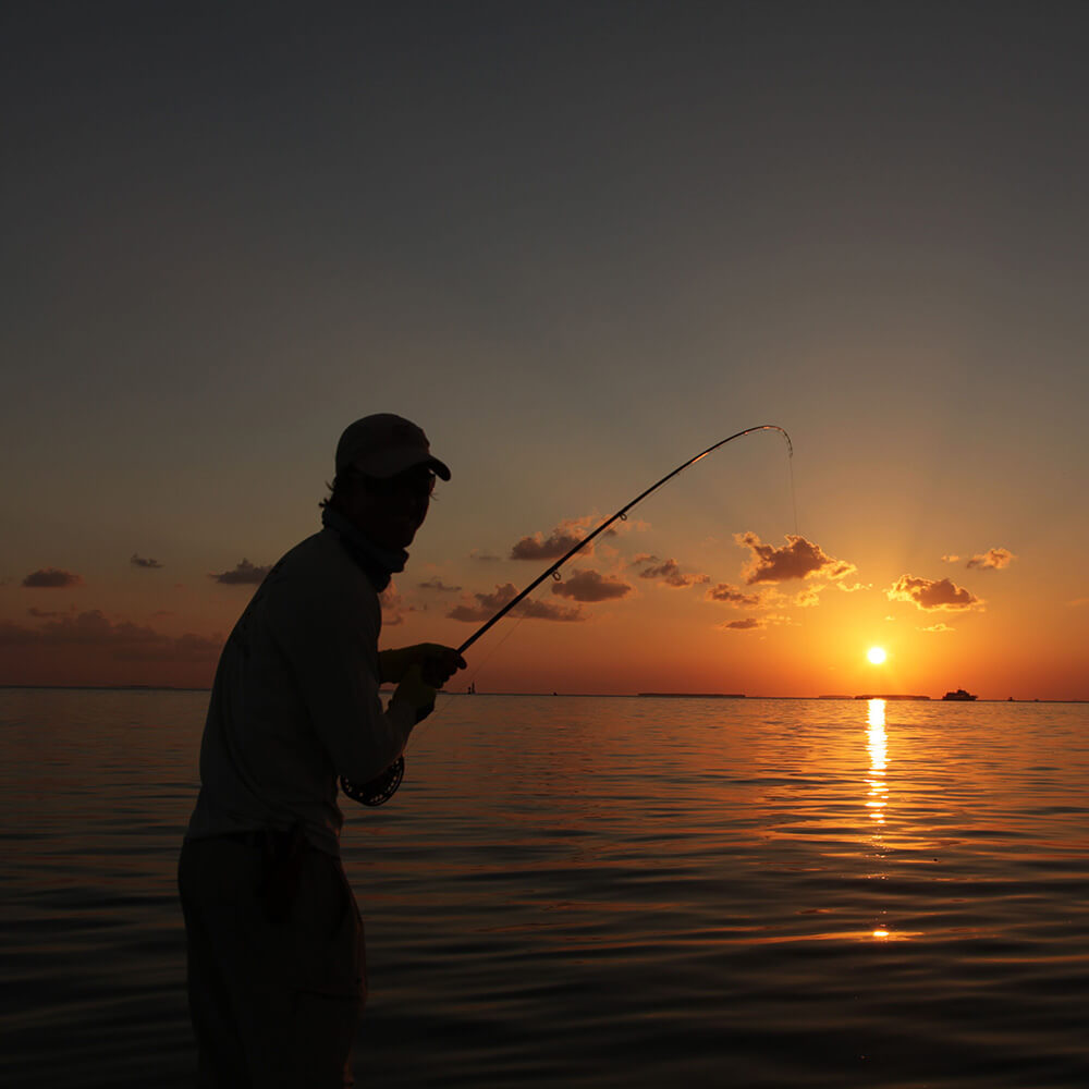 a person holding a fishing pole while standing on a boat with the orange sunrise in the distance