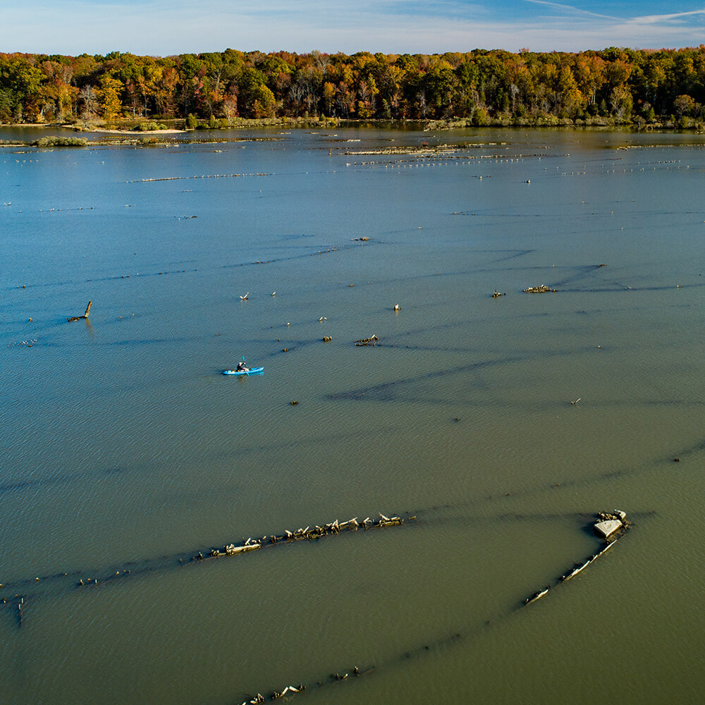 an aerial view of several sunken wooden ships as a paddler maneuvers around them