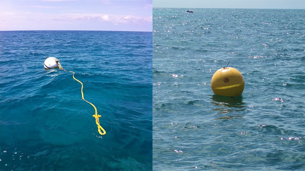 a picture of a white moring buoy with a yellow mooring line attached to it next to a picture of a yellow SPA zone marker buoy