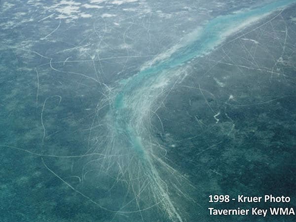 an aerial view of a seagrass bed that has many scars running through it due to boating in these shallow areas. the words 1998 tavernier key wma appear on the photo.