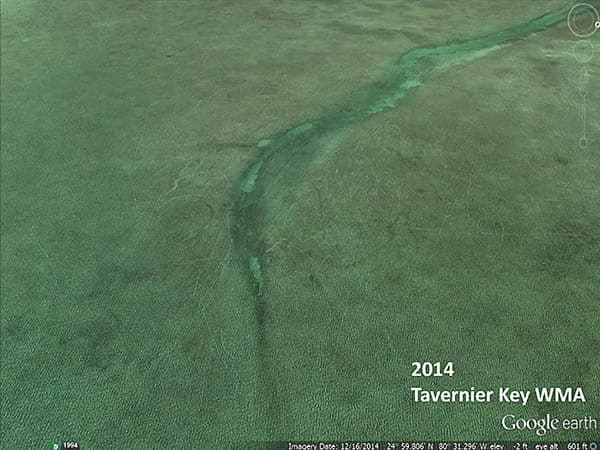 an aerial view of a seagrass bed that has very few scars running through it. the words 2014 tavernier key wma appear on the photo.