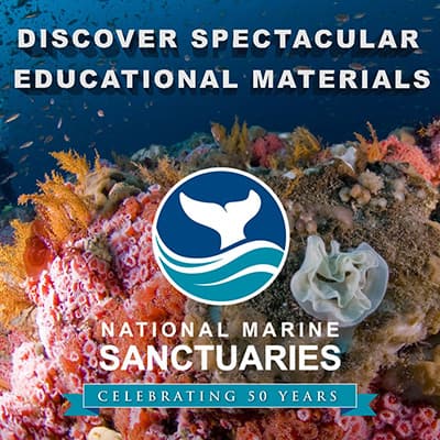 a colorful coral reef with the words discover spectacular educational materials national marine sanctuaries celebrating 50 years