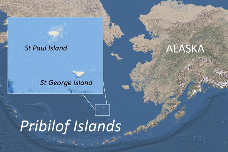 map highlighting st. paul and st. george islands in the Bering Sea