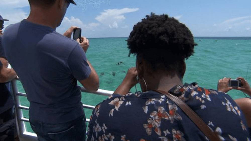 One male and one female tourist on a boat viewing and taking photos of dolphins.