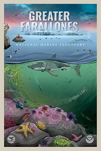 50th anniversary poster for greater farallones national marine sanctuary