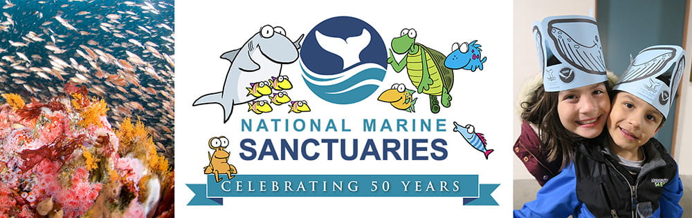 left to right: large school of fish swim around a vibrant rocky reef full of life; whale tail logo of the National Marine Sanctuary System with Sherman's Lagoon cartoon sea creatures surrounding it; two young Hispanic children wearing whale tail hats with the NOAA logo.