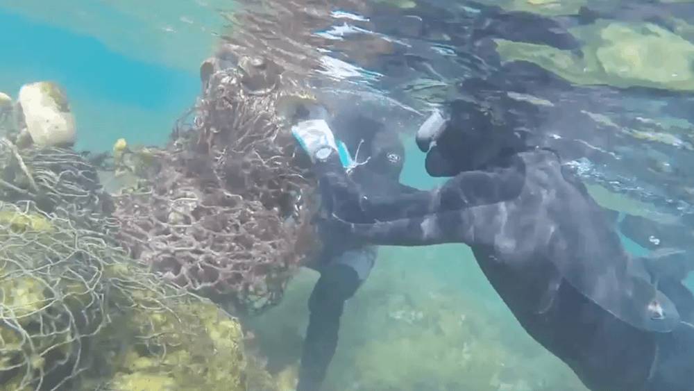 Two divers in wetsuits and masks working underwater to free a sea turtle from brown fishing nets.