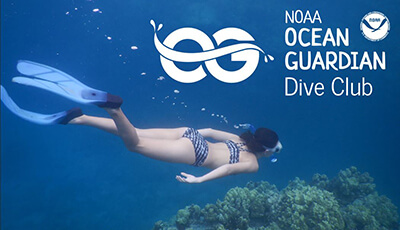 Ocean Guardian dive club