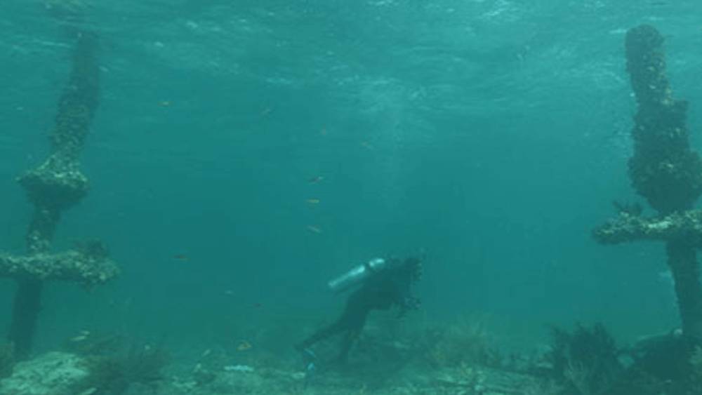 Diver at Turtle Reef in Key Largo in light blue water.
