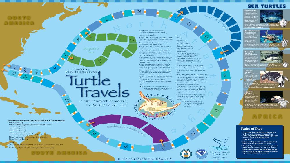 Turtle Travels Poster