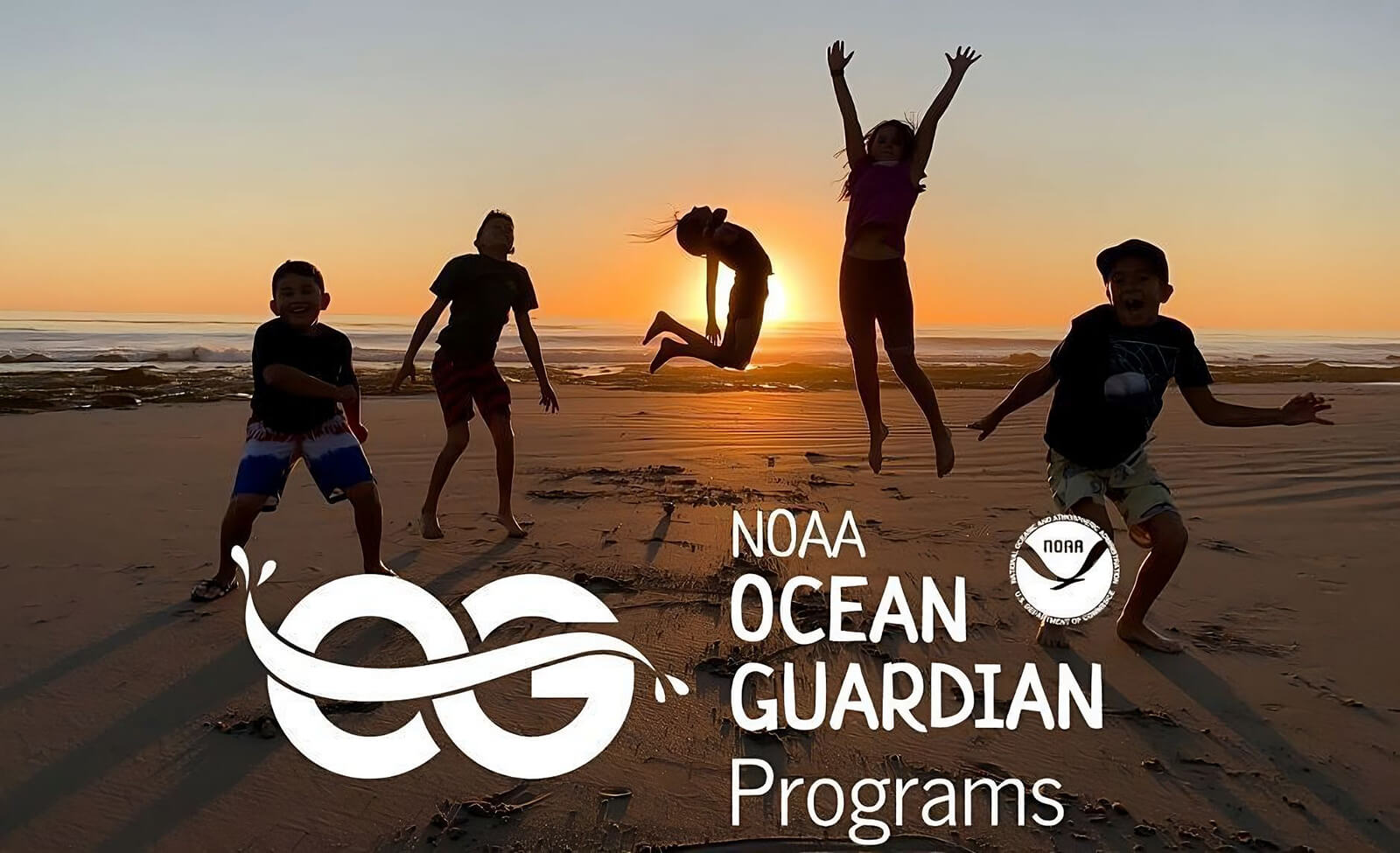 Ocean Guardian Programs