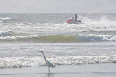 A large, white bird stands in shallow water on a beach, while a person riding a red personal watercraft passes nearby, further from shore.