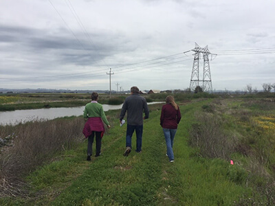 Three people walk along grass next to a wetland, with power lines visible in the background.