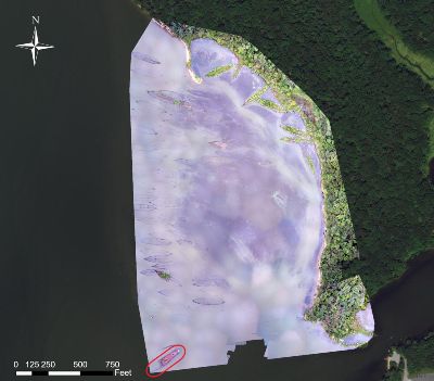 Aerial drone photographic mosaic of Mallows Bay, Maryland. Location of Accomac is circled in red. 
