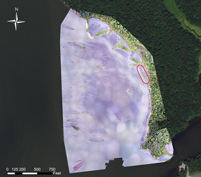 Aerial drone photographic mosaic of Mallows Bay, Maryland. Location of Afrania is circled in red