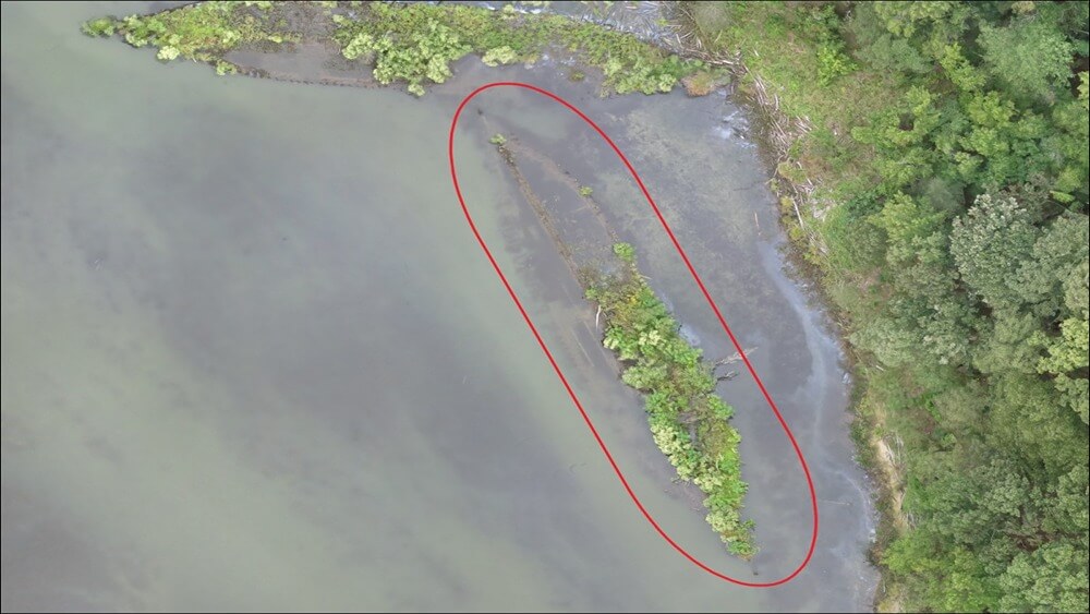 Drone photograph of Afrania, circled in red, taken on October 3, 2019, at Mallows Bay, Maryland.