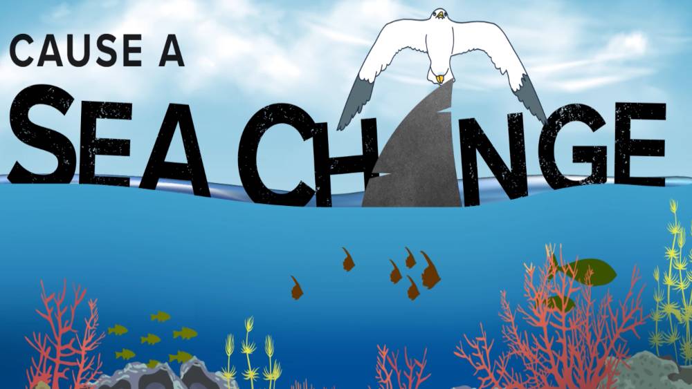 Cartoon with text that reads Cause a Sea Change and includes a shark fin and seagull above the water and a vibrant coral reef and fish below the surface.