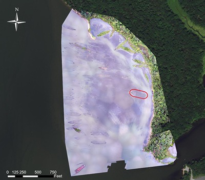 Aerial drone photographic mosaic of Mallows Bay, Maryland. Location of Boone is circled in red