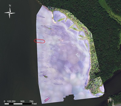 Aerial drone photographic mosaic of Mallows Bay, Maryland. Location of Mono is circled in red. (Source: Duke University/NOAA).