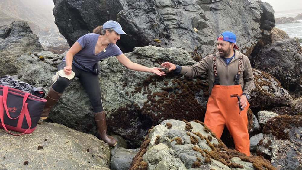 a person standing on a rocky shoreline hands an abalone over to another person wearing orange waders
