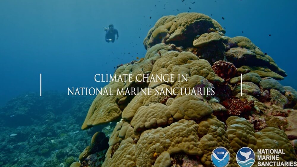 From left to right: coral along bottom floor, blue ocean, swimmer swimming forward towards large green reef with small black fish swimming above it. Text reads Climate change in national marine sanctuaries. NOAA and ONMS logos on bottom right.