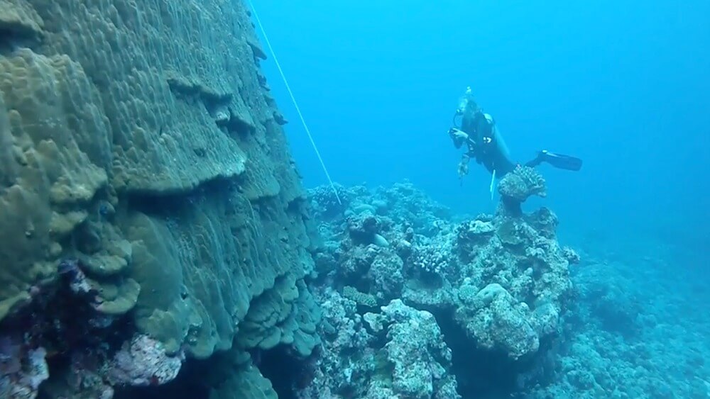From left to right: Tall coral reef with smaller reef extending along the seafloor, diver swimming from right to left.