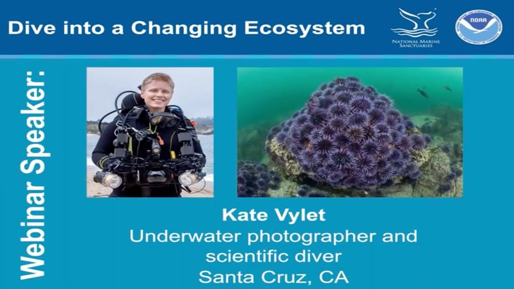 Presentation slide titled Dive into a Changing Ecosystem webinar. Photo of speaker in diving gear smiling on beach. Photo of urchin barrens underwater.