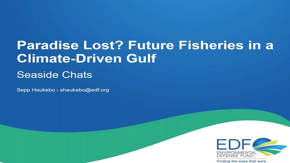 Green, blue and white Presentation slide titled Paradise Lost? Future Fisheries in a Climate-Driven Gulf with the environmental defense fund logo in bottom right corner.